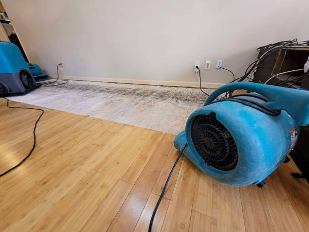 Professional Water Removal technician working in Wheeling, IL